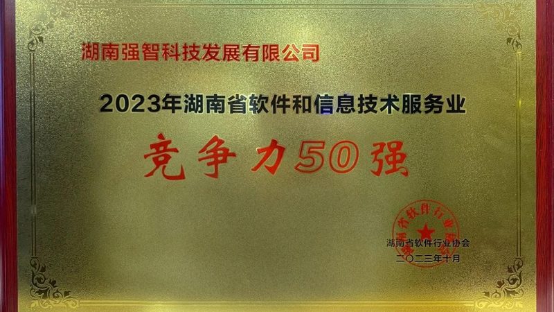 小标题：打破性别界限，IT咨询顾问职业解读