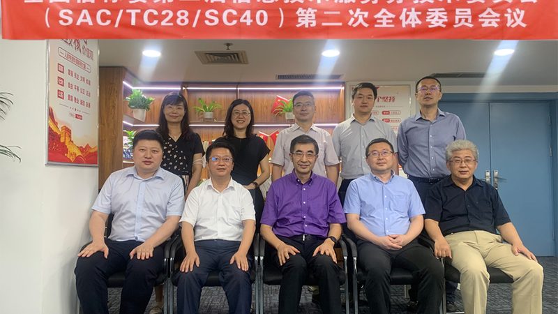 生产型信息技术服务：揭秘厂家报价背后的考量**