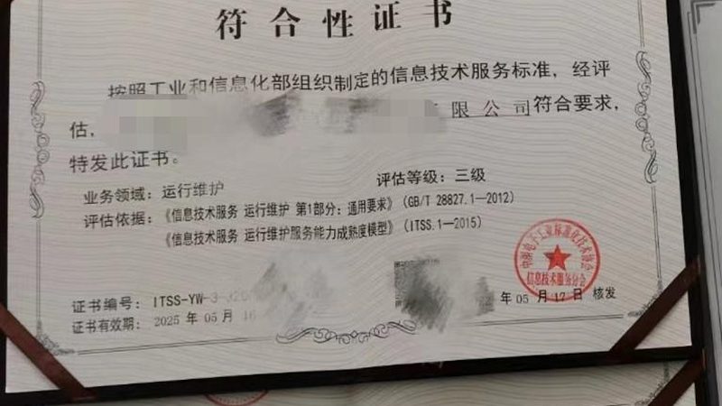 信息系统集成：揭秘十大品牌背后的技术实力与合规标准
