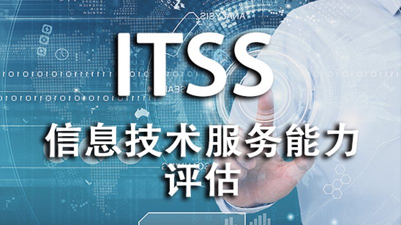 小标题：企业IT外包的必要性